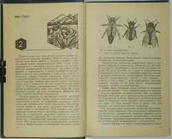 Тименский П.И. Приусадебная пасека, М.: Изд. Агропромиздат, 1988 г.