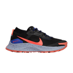 Кроссовки Nike Pegasus Trail 3 Gtx (Женская размерная сетка)
