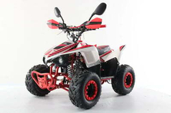 Квадроцикл MOTAX Mikro 110 NEW