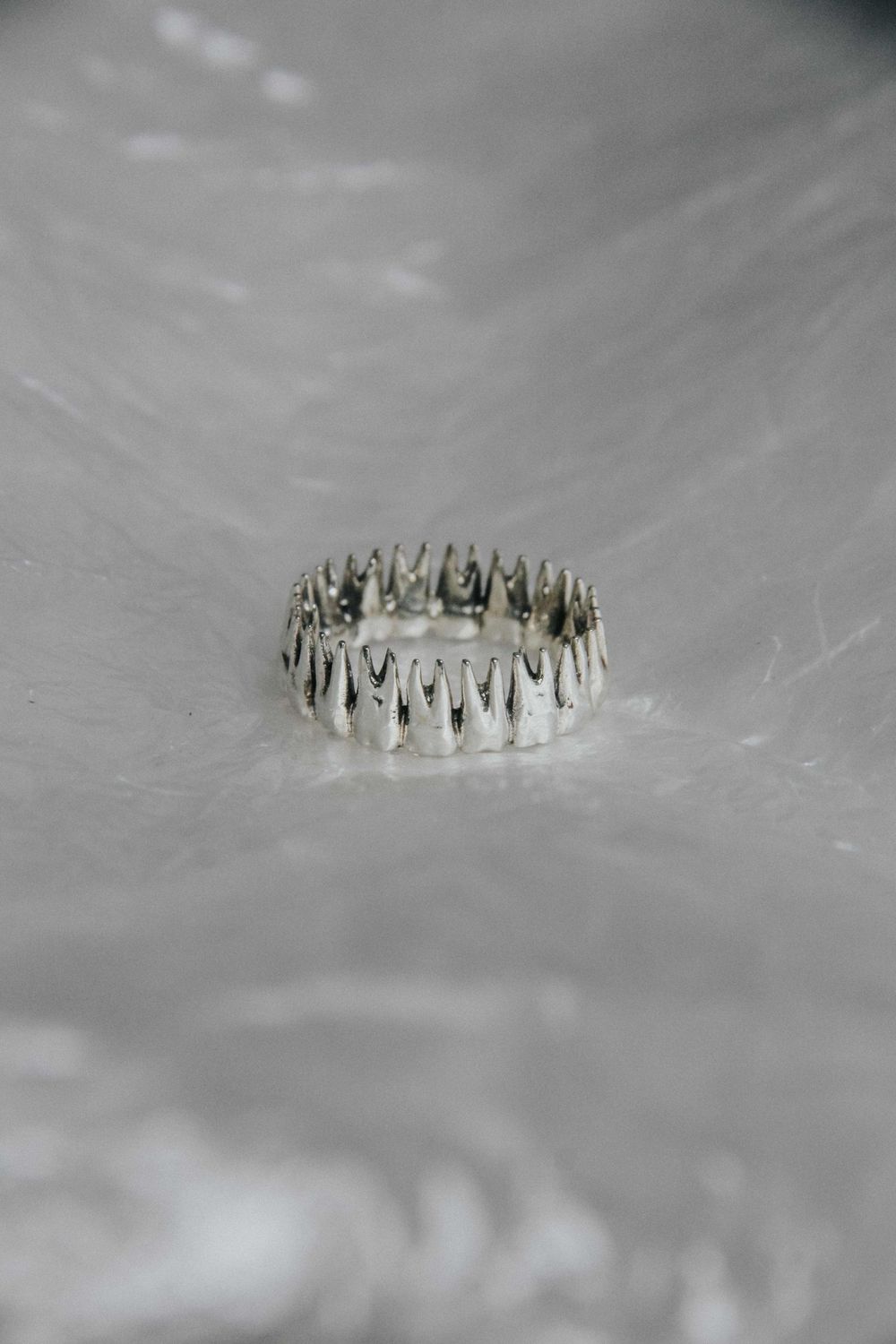 Кольцо Флюгера Максилла