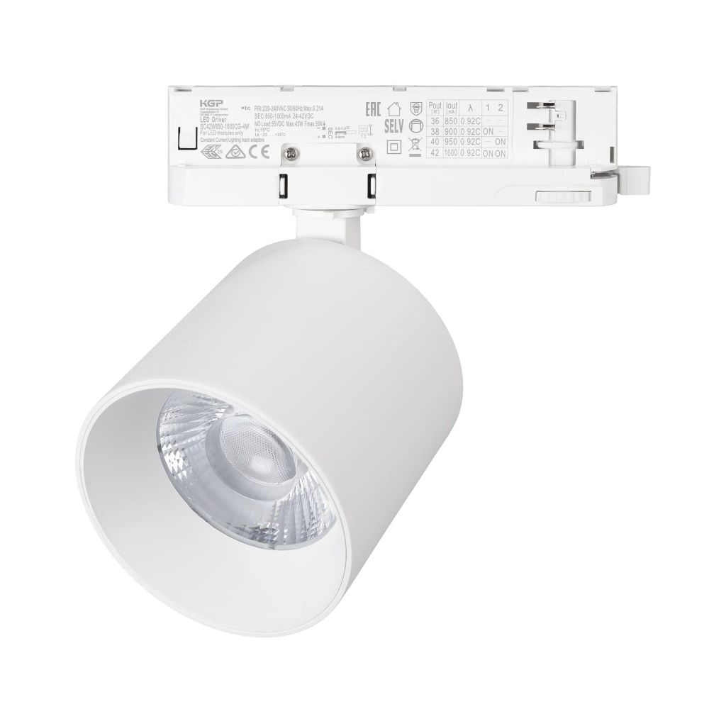 Светильник LGD-DYKE-4TR-R100-36W Day4000 (WH, 38 deg, 230V, DALI) (Arlight, IP20 Металл, 5 лет) 058697
