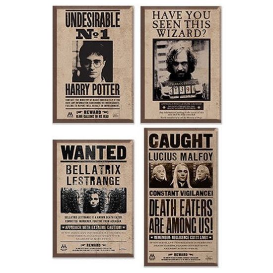 Магниты Гарри Поттер Розыскиваются 4 шт 4895205606876