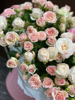 Приятная встреча ШК-345