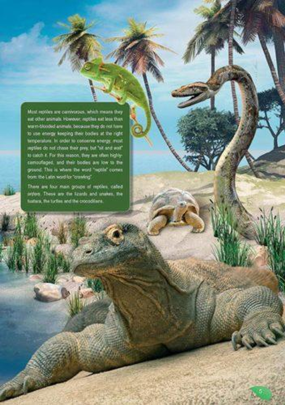 Saltwater Crocodiles Уровень В1 (7-9 класс). Книга для чтения с доступом к электронному приложению