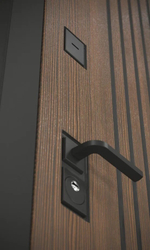 Дверь Входная Бункер BN-02 28 Грунт под покраску