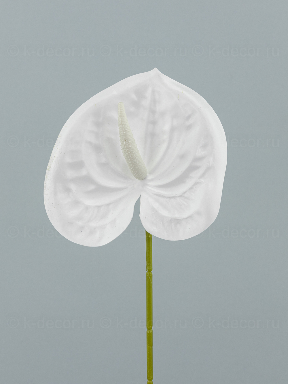 Антуриум Элайза Мини