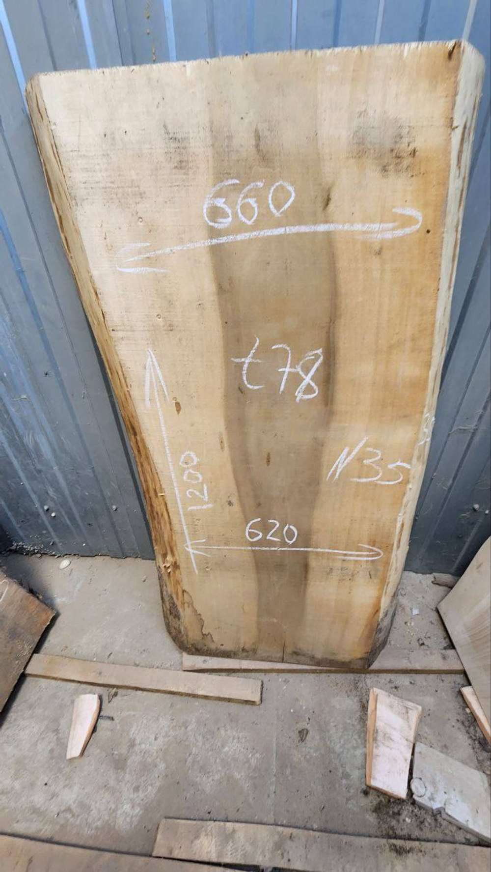 Бук 120 см (Д) × 62/68 см (Ш) × 7 см (Т)