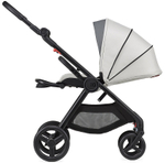 Коляска 2 в 1 Anex IQ