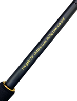 Спиннинг для рыбалки Roix Zenith RZS-702MH 9-35g