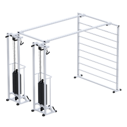 Биотонус-2+шведская стенка (стек 2х100кг)