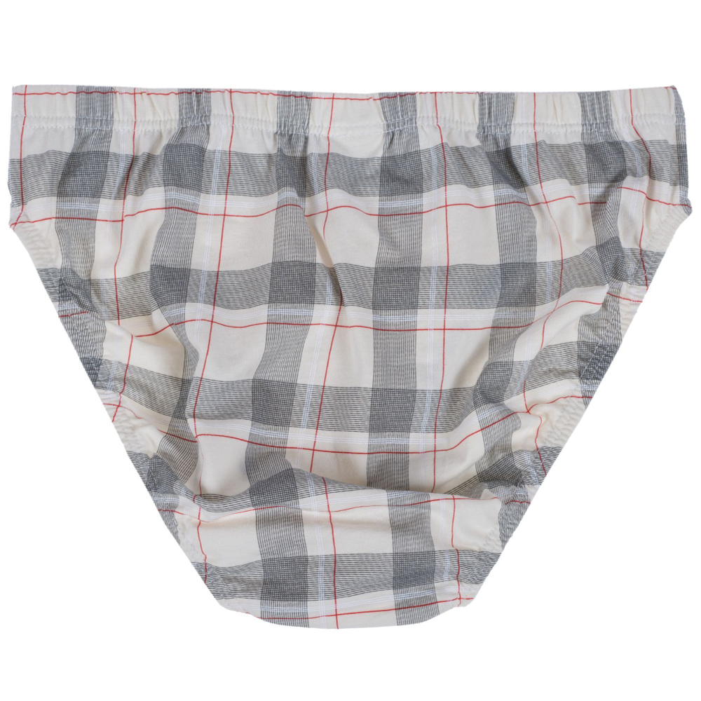 Комплект из 2 мужских трусов-слип с контрастным принтом в клетку (Размер: XL) (Цвет: разноцветный)