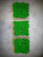 Квадратное панно на стену 20*20 из мха набор 1 шт.