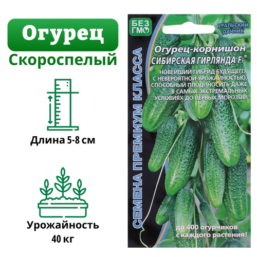 Огурец Сибирская Гирлянда F1, 5 шт