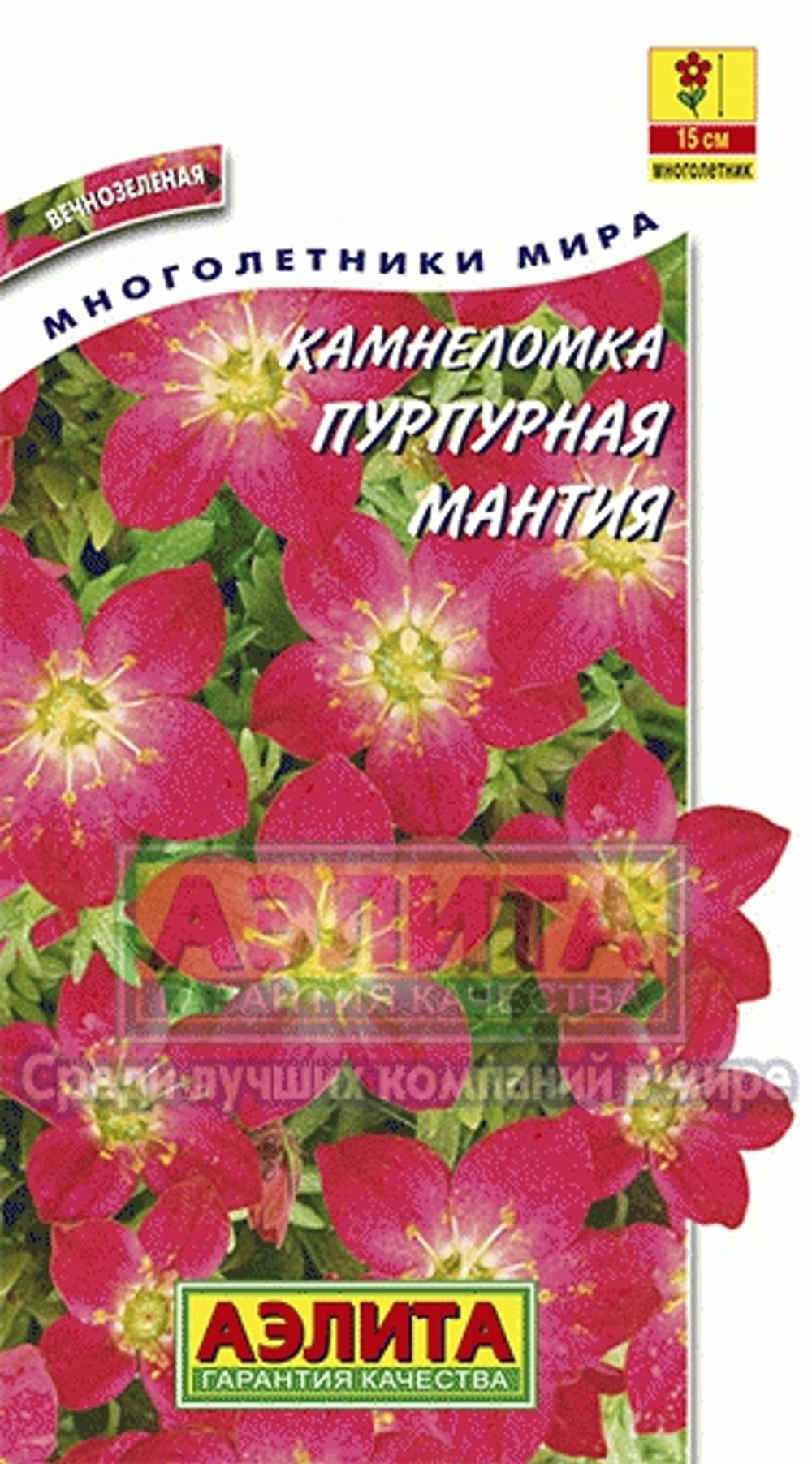 Камнеломка Пурпурная мантия 0,01-0,03гр аэлита