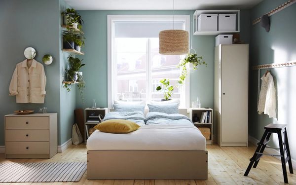 Съёмная квартира с характером: как калининградцы создают уют с IKEA