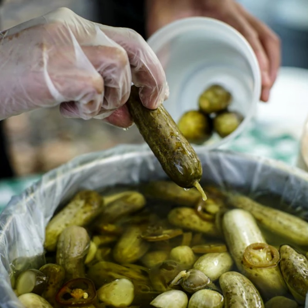 Огурцы - Бостонский Пикуль - Boston Pickle