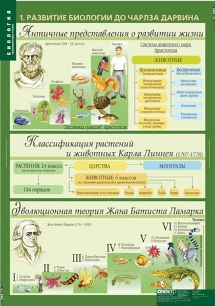 Биология 10-11 классы. Эволюционное учение