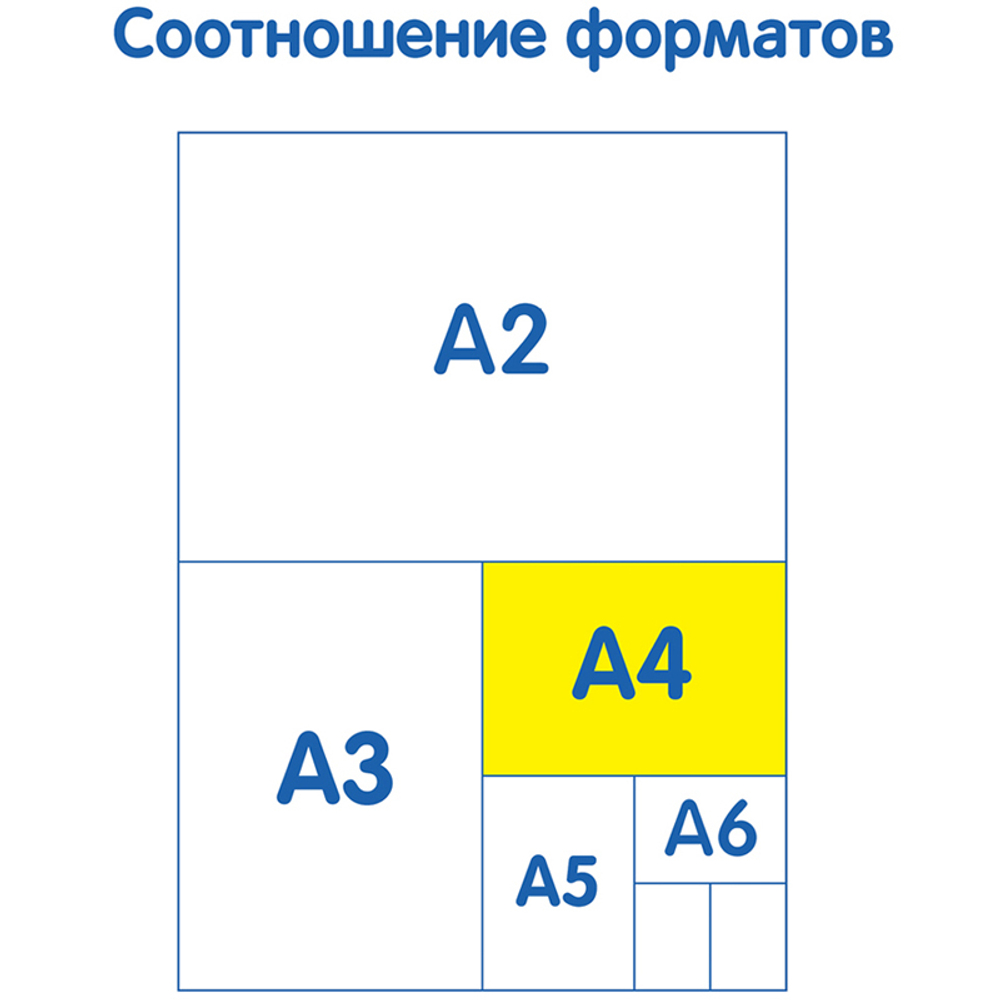 Папка с ручками А4 "Squirrel", пластик, на молнии, 75мм, Мульти-Пульти