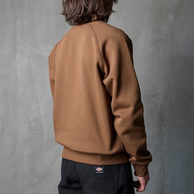 Толстовка мужская Carhartt WIP Chase Sweatshirt артикул:I033660_chocolate - купить в магазине Дайс