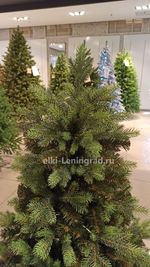 Искусственная елка «Грацио» (Литая+пвх) 180 см / 1.8 м