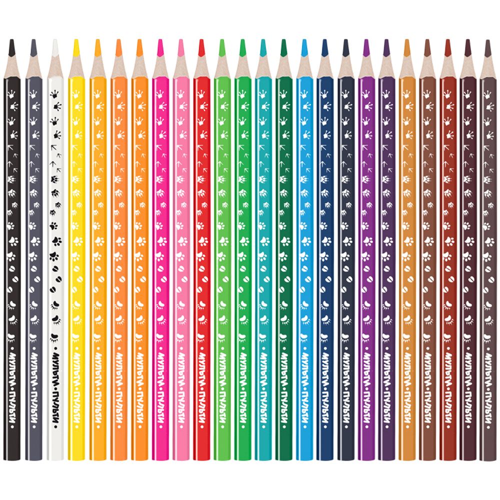 Карандаши цветные Мульти-Пульти "Енот-следопыт", 24цв., трехгр.,рисунок на корпусе, заточен., картон