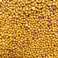 Osmocote Exact Hi End 5-6 мес (15-9-12+2MgO+МЭ)