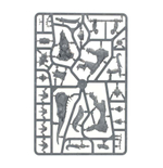 Vanguard: Beasts of Chaos