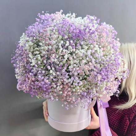 Композиция с цветной гипсофилой