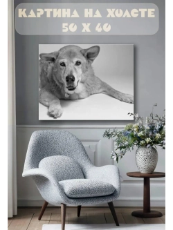 Картина на стену 40 X 50 Собака