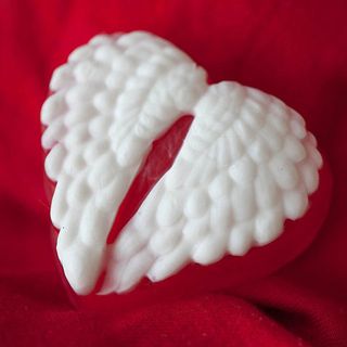 Сердце из крыльев  пластиковая форма