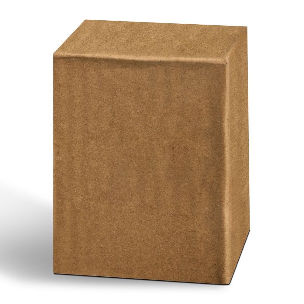 СТАТУЭТКА "ДЕВОЧКА С КОТЕНКОМ" 7,5Х5,5Х9 СМ