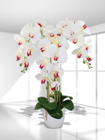 Искусственные орхидеи белые яркие 3 ветки латекс 65см в кашпо