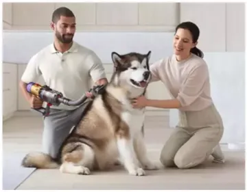 Набор насадок Dyson Pet Grooming Kit для ухода за домашними животными