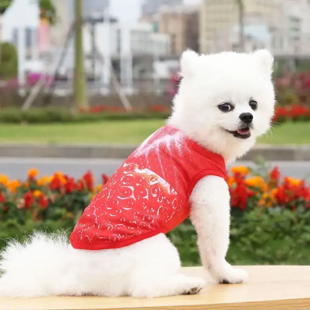 Майка для собаки «Тропикана-Яркая Клубничка» размер M (20*29*18см) Ultramarine