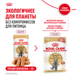Royal Canin British Shorthair Adult (БРИТАНСКАЯ КОРОТКОШЕРСТНАЯ ЭДАЛТ) Корм консервированный для взрослых кошек соус 85г