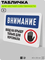 Табличка для частной территории "Внимание, вход на крышу только для персонала", на дом, для участка, организаций и частных территорий, предупреждающая, 40х30 см, Silver Plane x Айдентика Технолоджи