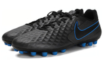 Кроссовки Nike Legend 8 Academy Ag