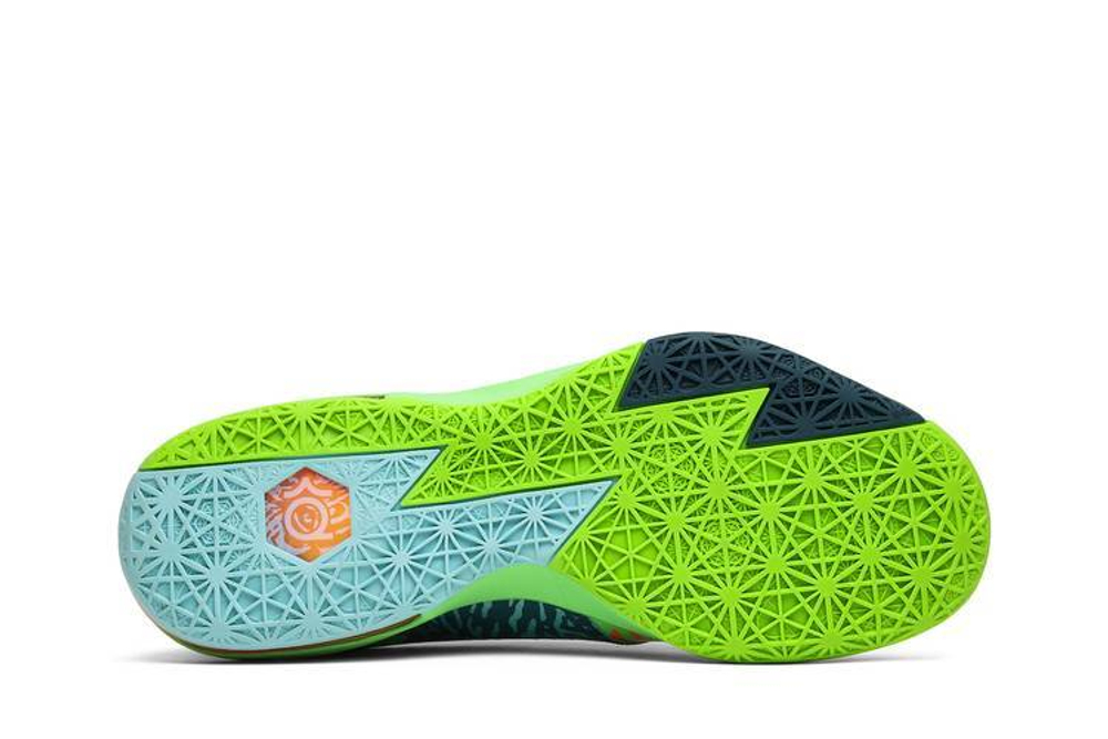 Liger kd 6 2025