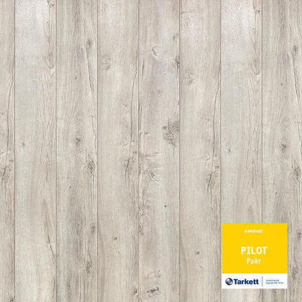 Ламинат Pilot Райт 10 мм