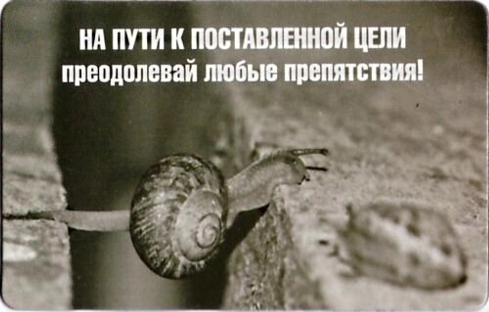Магнит картонный "На пути к поставленой цели"