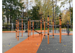 Воркаут «4 турника, 2 шведские стенки, 2 пары колец, рукоход и скамьи для пресса»
