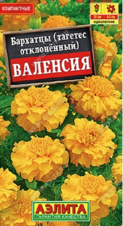 Бархатцы Валенсия отклоненные