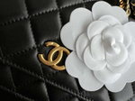 Chanel Bag 19 cm