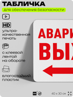 Табличка для обеспечения безопасности "Аварийный выход", для офиса, по охране труда для предприятия, организаций, 40х30 см, Silver Plane x Айдентика Технолоджи