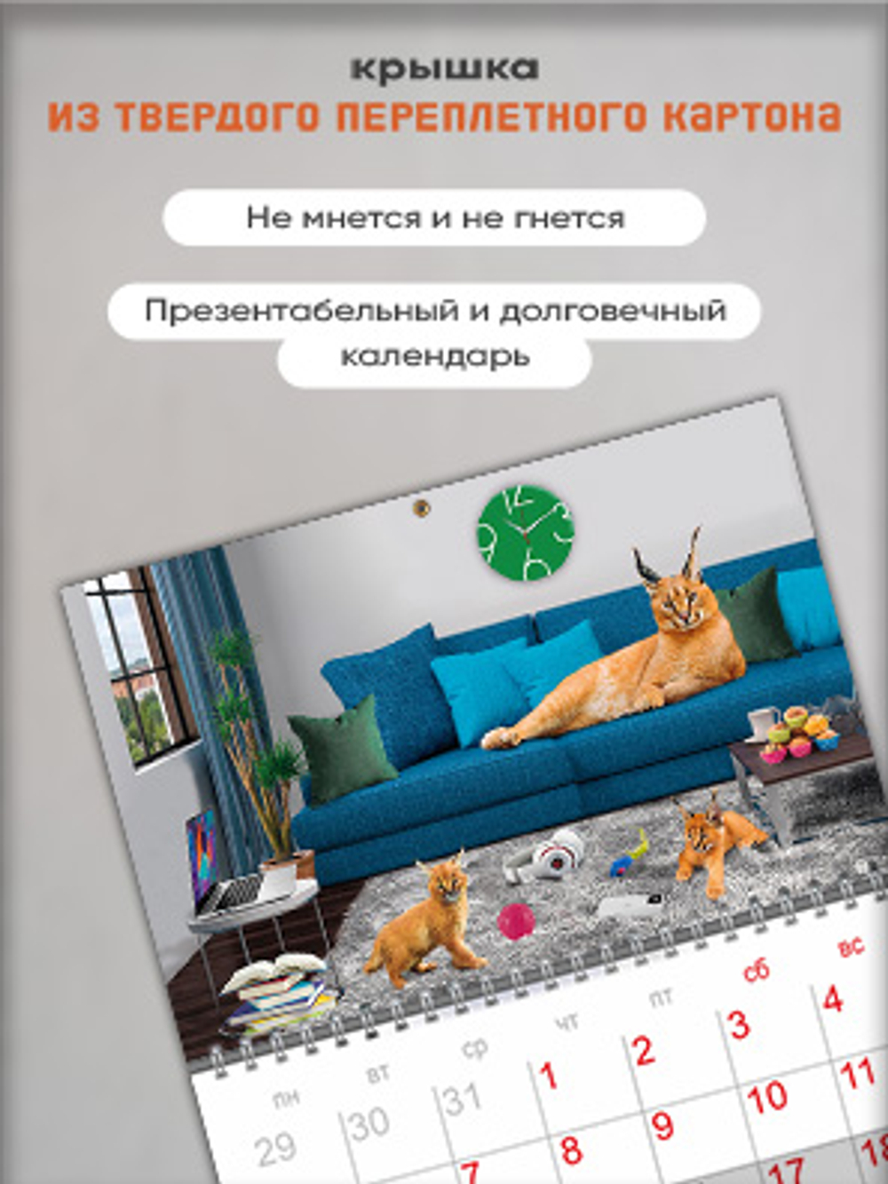 Настенный отрывной календарь "Шлепа"