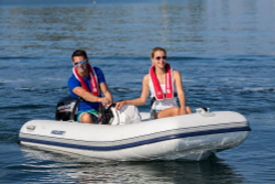 4х-тактный лодочный мотор MERCURY F 20 ELPT EFI