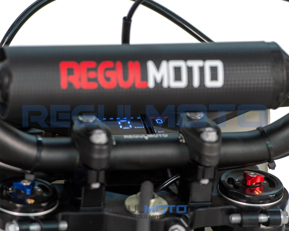 Мотоцикл Regulmoto Crosstrec 300 с ПТС