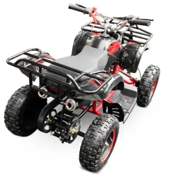 Квадроцикл Motoland 50 MINI (2020 г.)