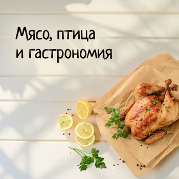 Мясо, птица и гастрономия