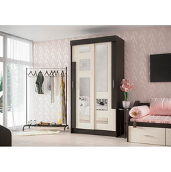 Шкаф-купе Феникс